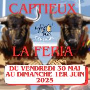 01 06 2025 captieux feria du toro