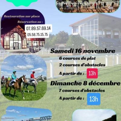 Affiches Course Landaise