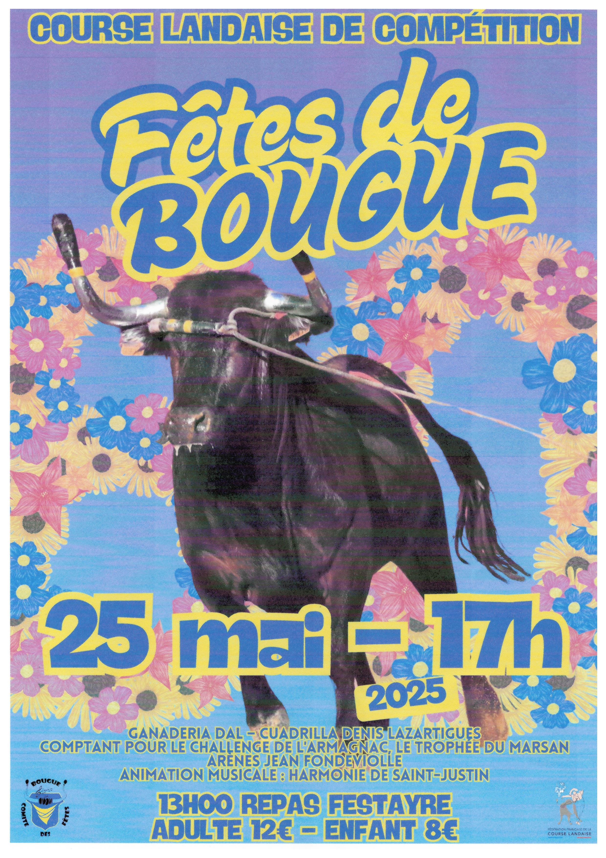 25 05 2025 bougue dal
