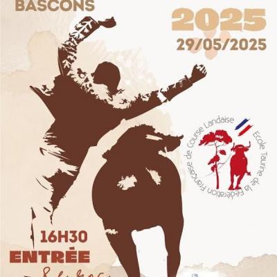 Affiches Course Landaise