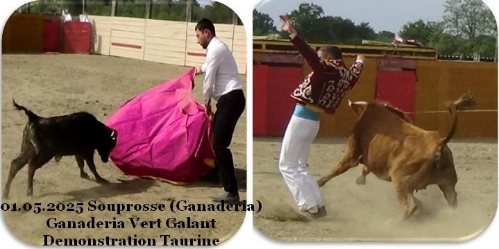 01 05 2025 souprosse gana vert galant demonstration