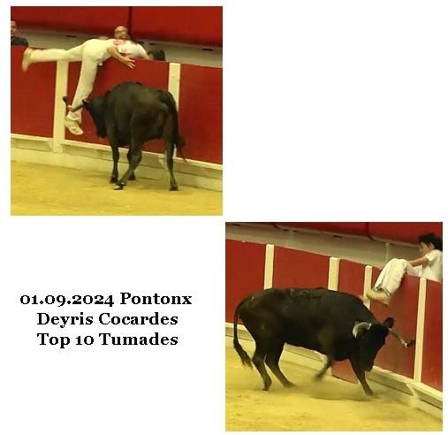 01 09 2024 pontonx ganaderia dargelos cocardes top 10 tumades