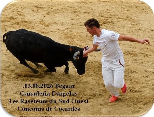 03 08 2026 begaar dargelos cocardes