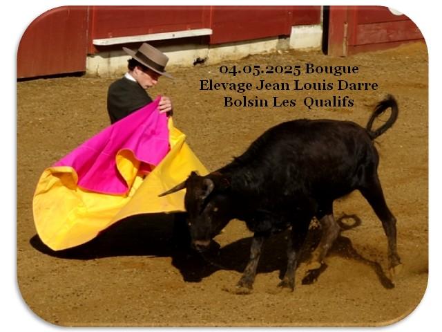 04 05 2025 bougue bolsin