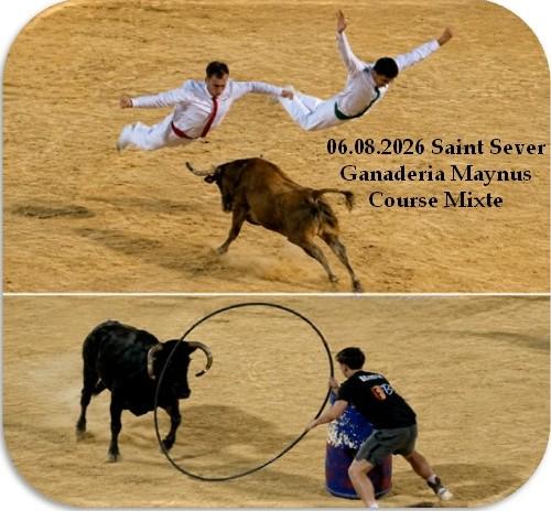 06 08 2026 st sever maynus mixte