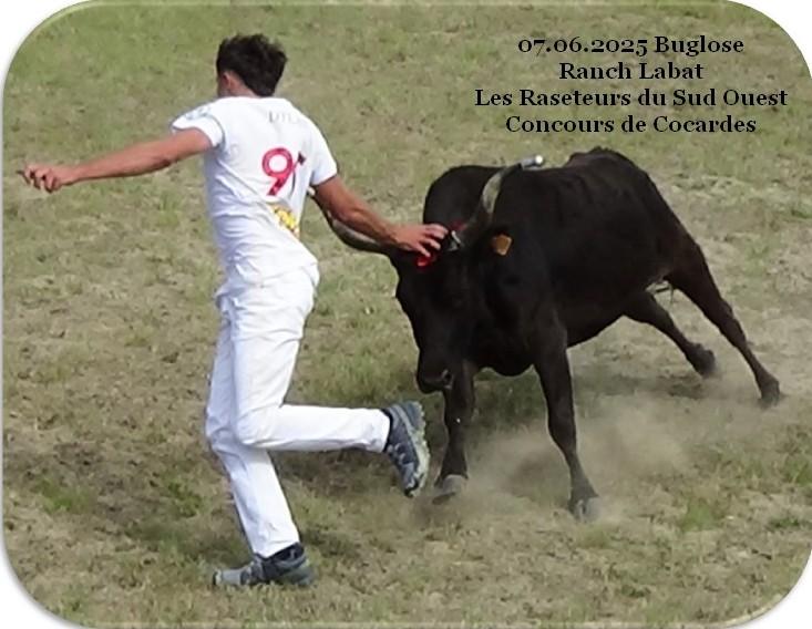 07 06 2025 buglose ranch labat concours cocardes 1