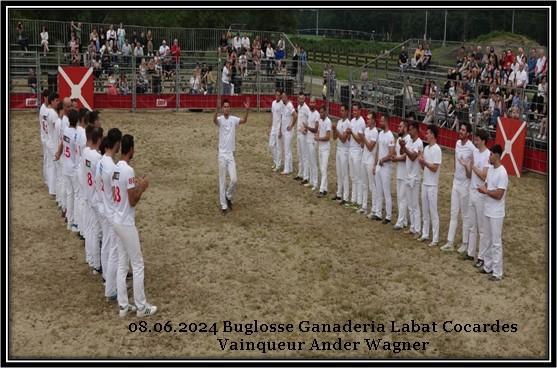 08 06 2024 buglosse ganaderia labat concours de cocardes vainqueur ander wagner