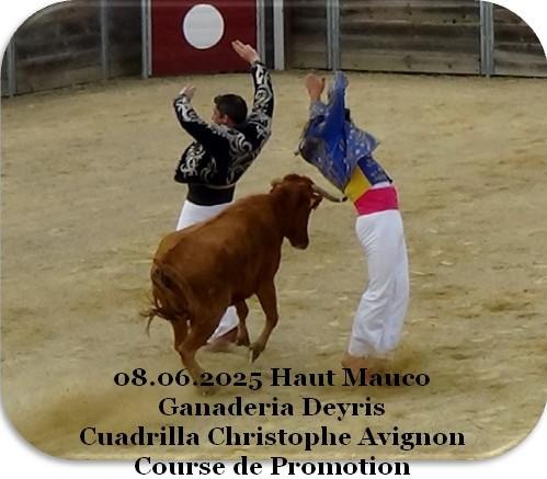 08 06 2025 haut mauco deyris christophe avignon