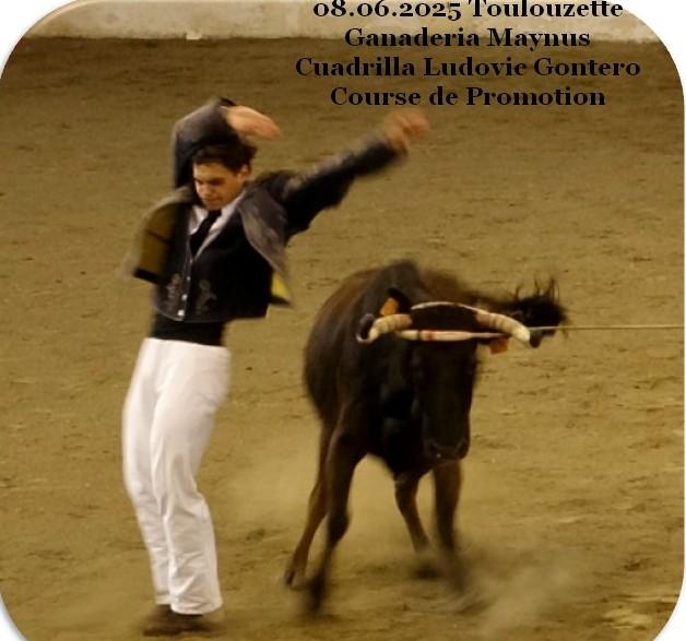 08 06 2025 toulouzette maynus ludovic gontero promotion