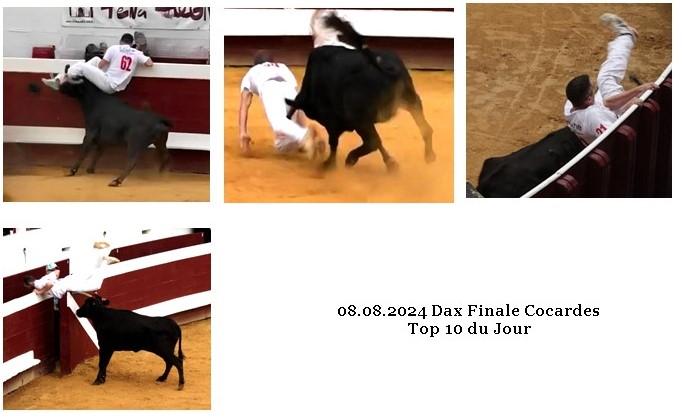 08 09 2024 dax ganaderia dargelos concours de cocardes top 10 du jour