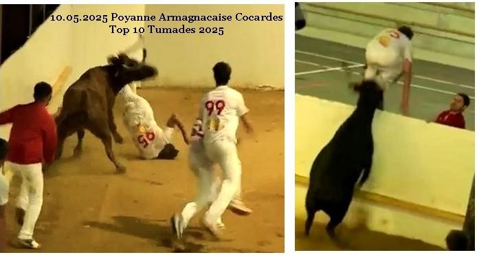 10 05 2025 poyanne armagnacaise concours cocardes top 10 tumades 2025