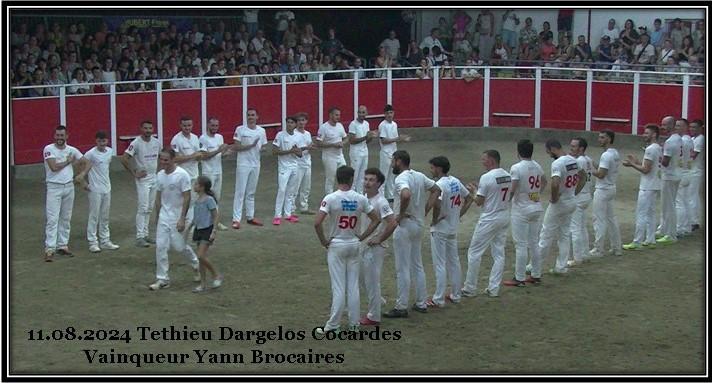 11 08 2024 tethieu ganaderia dargelos concours de cocardes vainqueur yann brocaires