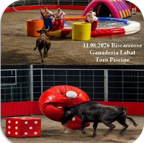 11 08 2026 biscarrosse labat toro piscine