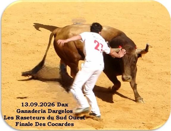 13 09 2026 dax dargelos finale cocardes