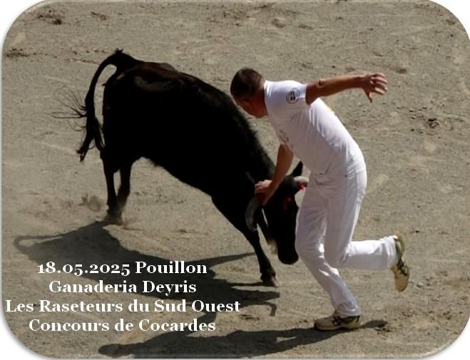 18 05 2025 pouillon deyris concours de cocardes