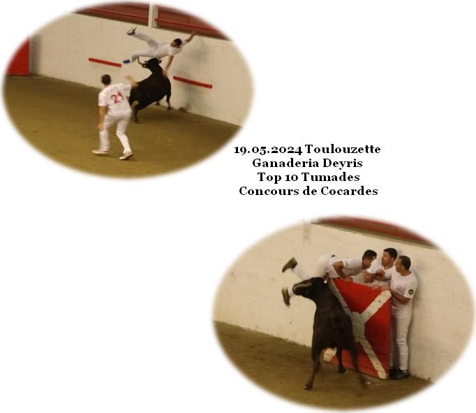 19 05 2024 toulouzette ganaderia deyris concours cocardes top 10 tumades