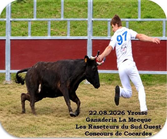 22 08 2026 yzosse la mecque cocardes