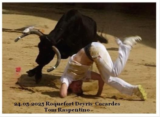 24 05 2025 roquefort deyris concours de cocardes top 10 tom raspentino