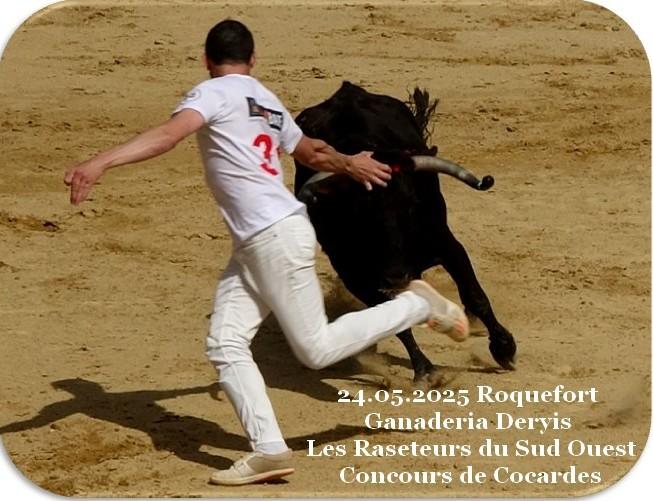 24 05 2025 roquefort deyris concours de cocardes