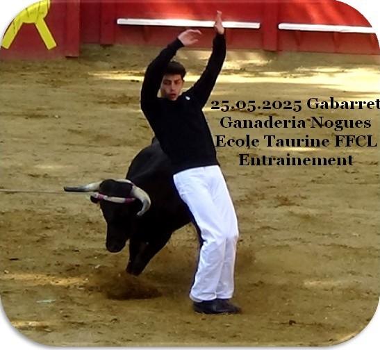 25 05 2025 gabarret ganaderia nogues ecole taurine ffcl