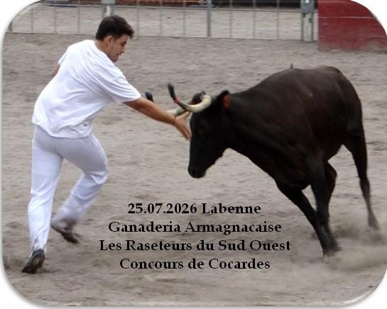 25 07 2026 labenne armagnacaise cocardes