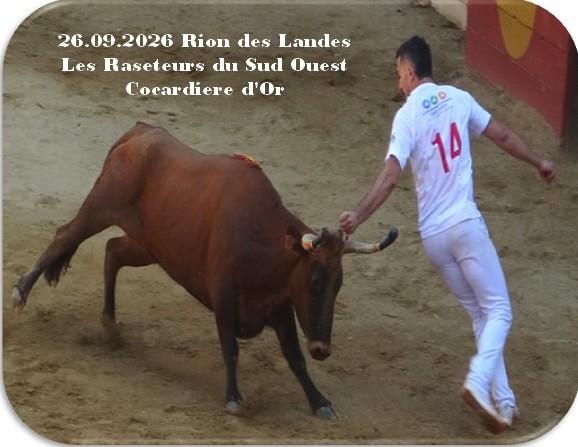 26 09 2026 rion cocardiere d or