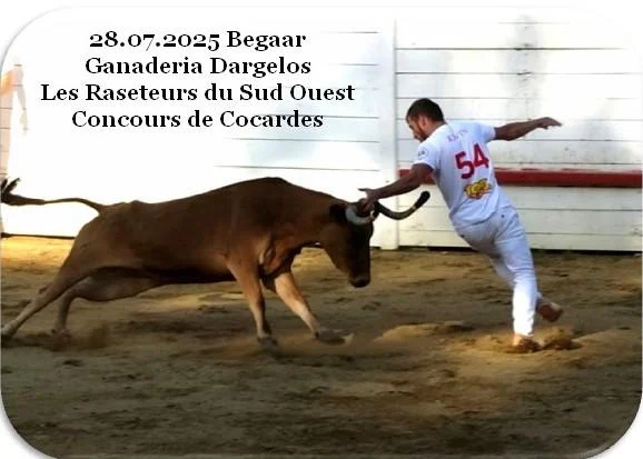 28 07 2025 begaar dargelos cocardes