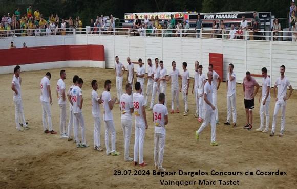 29 07 2024 begaar ganaderia dargelos concours cocarde vainqueur marc tastets