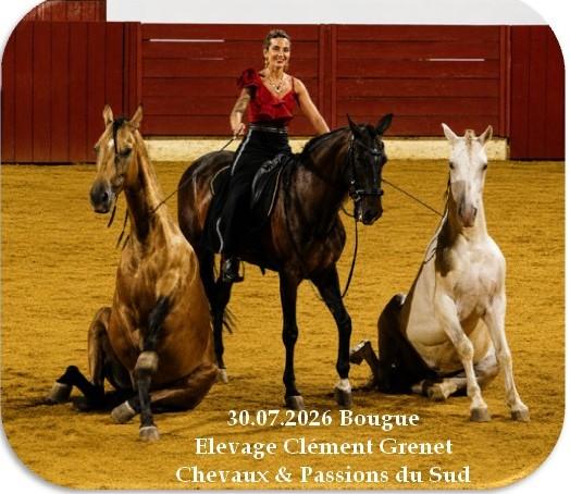 30 07 2026 bougue grenet cheveaux passions du sud