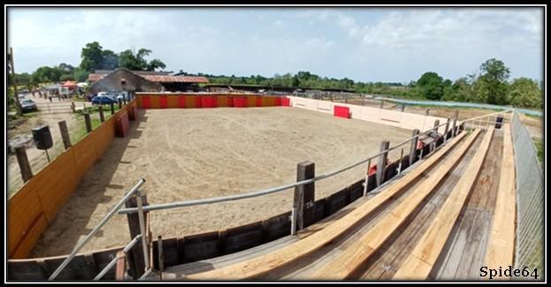 Arene ganaderia vert galant